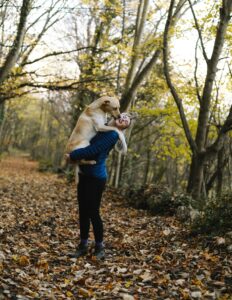 pet counselling