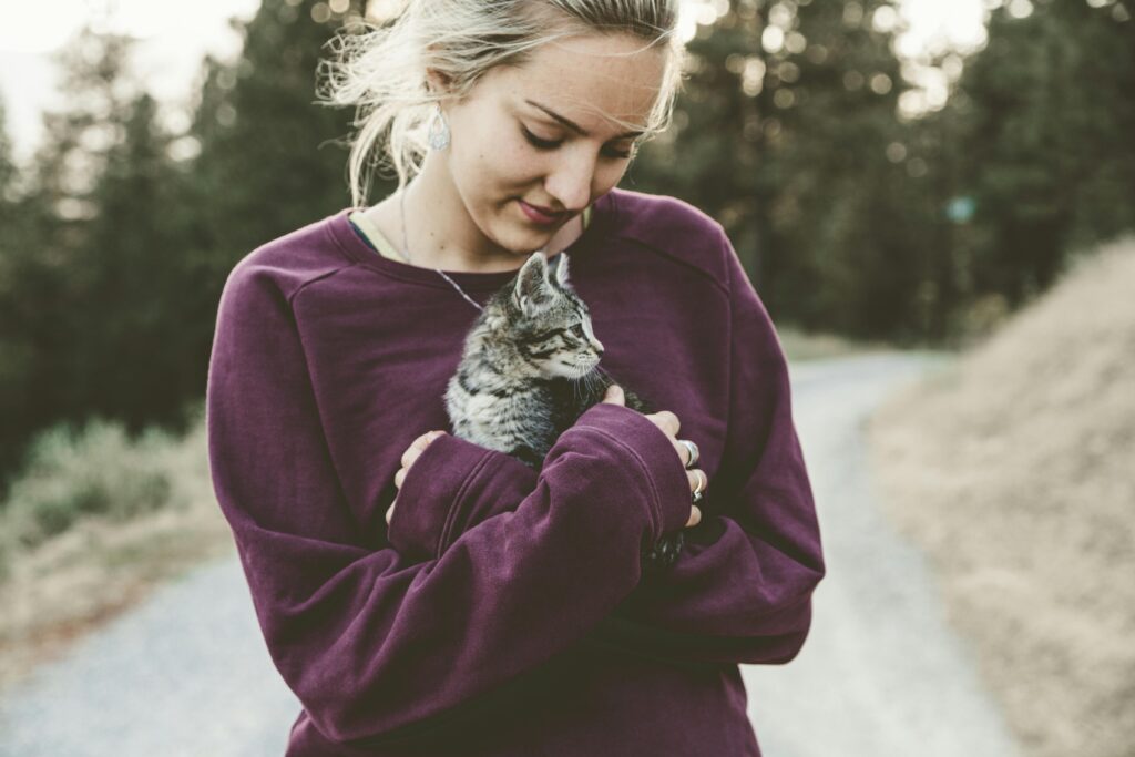 pet counselling